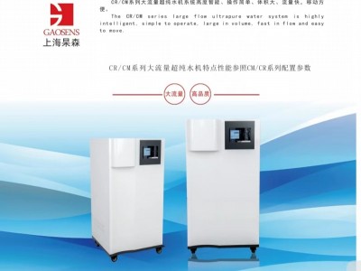 上海杲森CR大流量超纯水机，科研实验室超纯水制备，医学超纯水